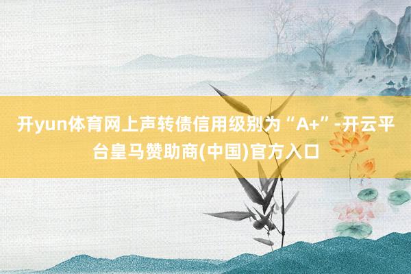 开yun体育网上声转债信用级别为“A+”-开云平台皇马赞助商(中国)官方入口