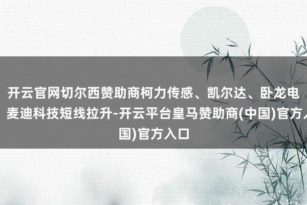 开云官网切尔西赞助商柯力传感、凯尔达、卧龙电驱、麦迪科技短线拉升-开云平台皇马赞助商(中国)官方入口