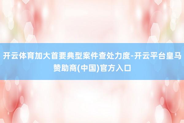 开云体育加大首要典型案件查处力度-开云平台皇马赞助商(中国)官方入口