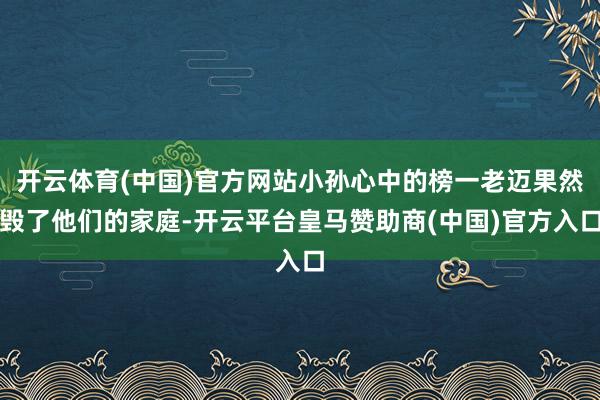 开云体育(中国)官方网站小孙心中的榜一老迈果然毁了他们的家庭-开云平台皇马赞助商(中国)官方入口